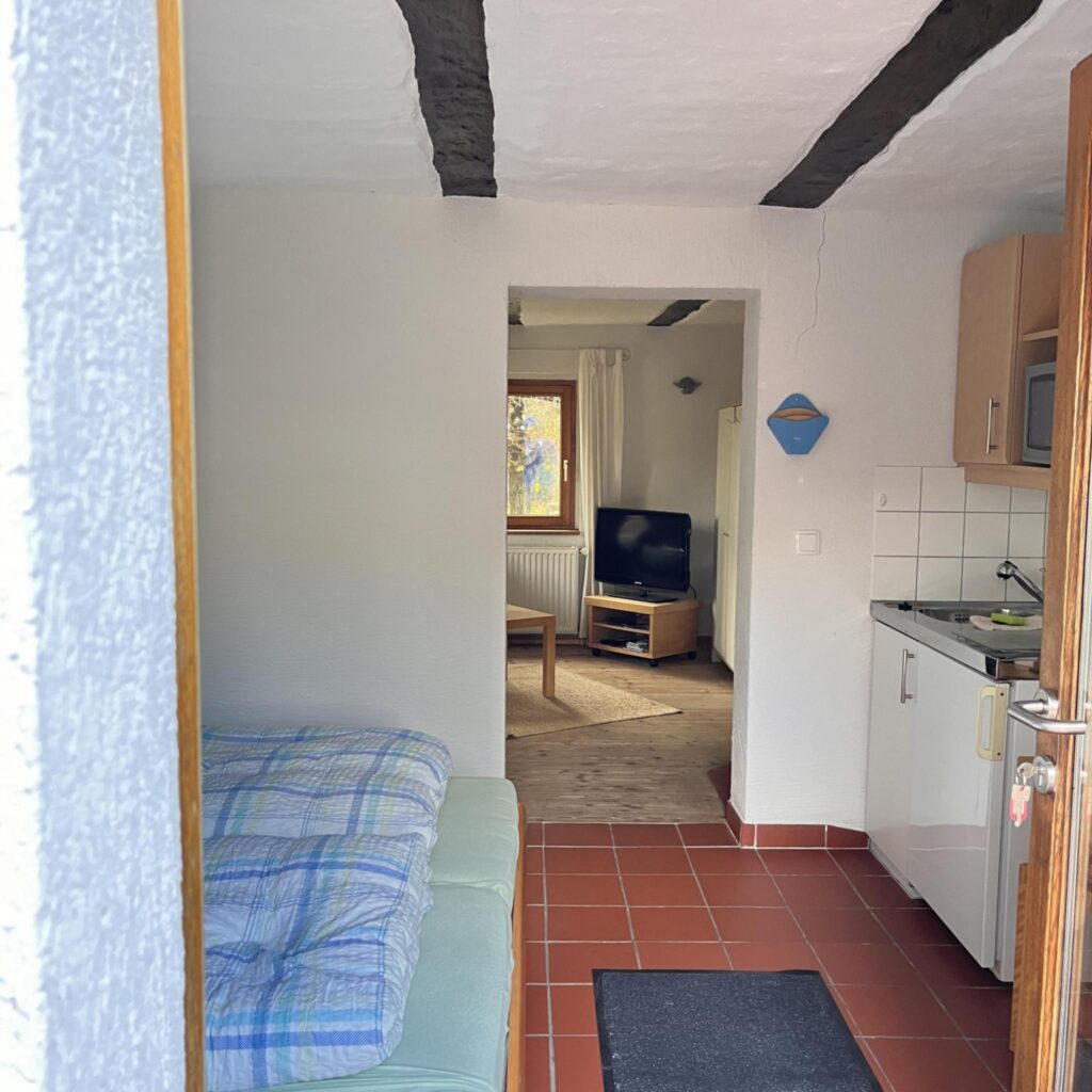 wohnung2 pic1.jpg