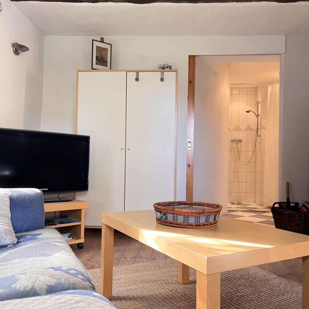wohnung2 pic3.jpg